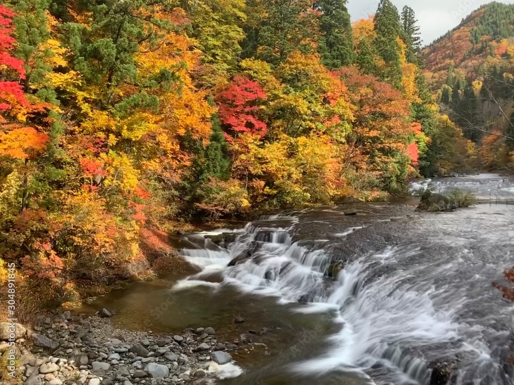 River in autumn forest