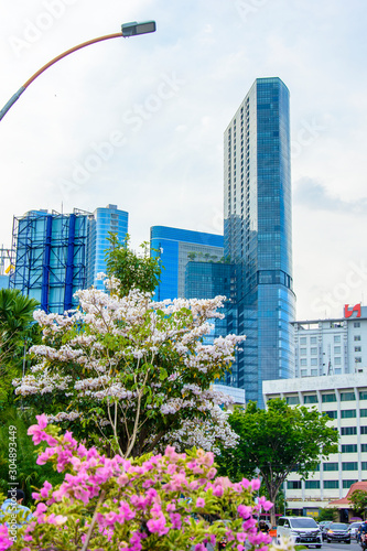 white pink tabebuia blossom among city traffic crowd andskyscraper high buildings in surabaya city east java indonesia photo
