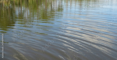 River water background in Florida nature, sky and trees reflection in the water