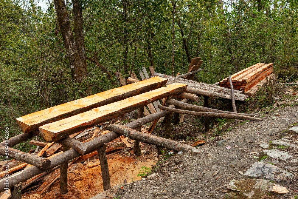 Two piece of hand saw timber in Himalayas. Two piece of hand saw timber in Himalayas.