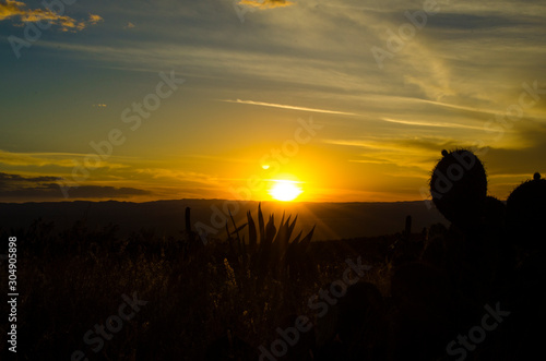 Puesta de Sol con Maguey y Nopal en altiplano Potosino  Regi  n de las Margaritas al Sur de Real de Catorce