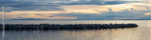 White Rock, British Columbia, Canada. Panoramic View of Rocky Water barrier with birds on the Ocean Shore during a sunny and cloudy summer sunset.