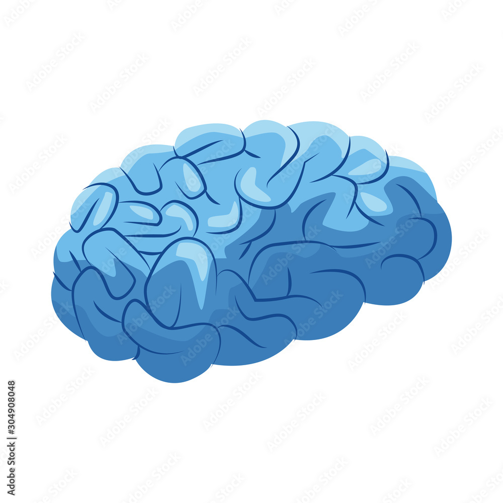 human brain icon, flat design human brain icon, flat design