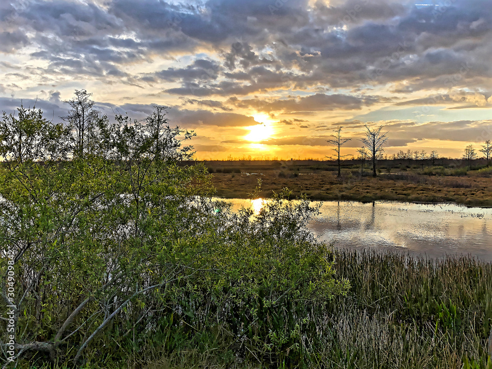 Obraz premium reflections of a sunset in the Florida swamps