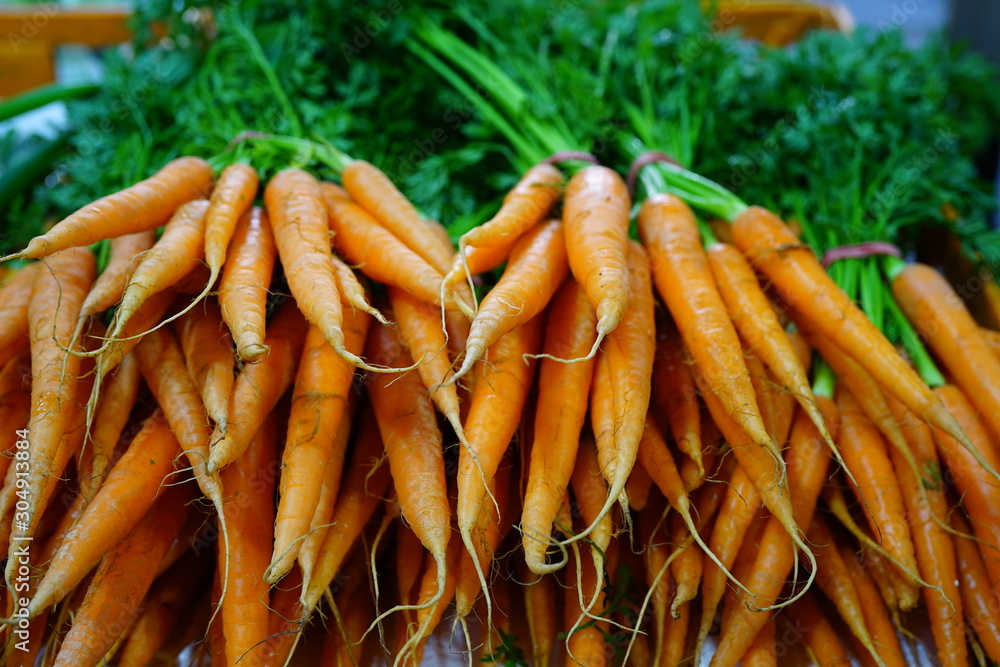Fresh carrots bunches for sale at a farmers market Fresh carrots bunches for sale at a farmers market