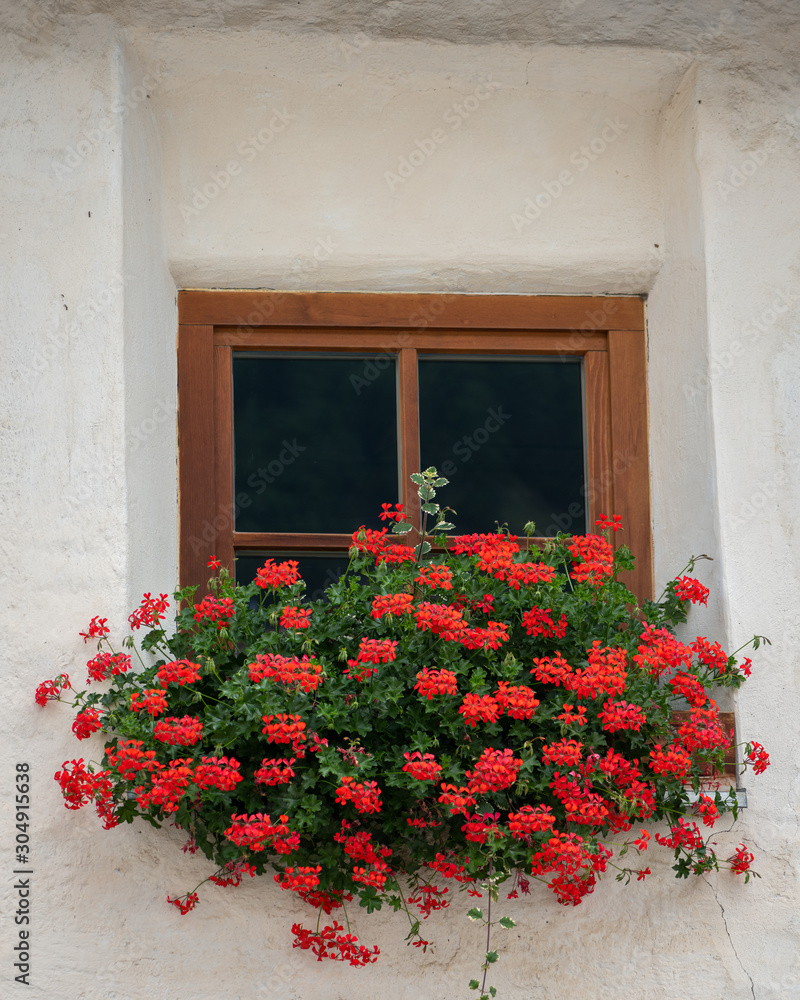 Red flowers in front of a small window of a very old house in Burgeis