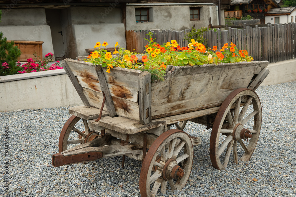 An old wooden cart with beautiful flowers