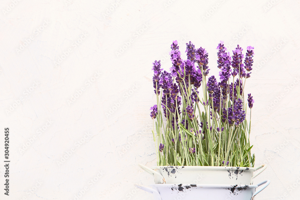 Fototapeta premium Lavender flowers