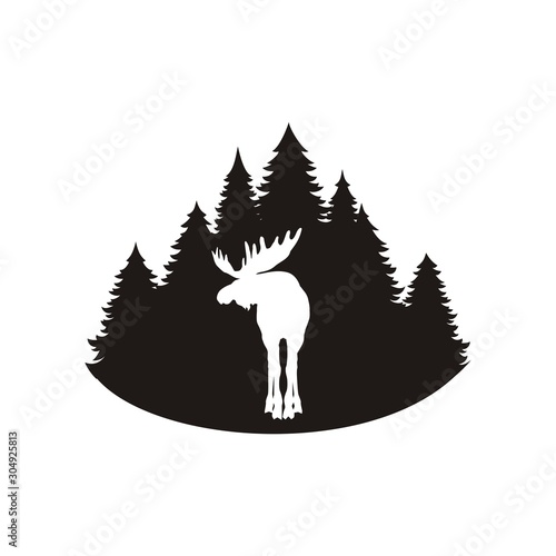Silhouette of a wild moose with horns