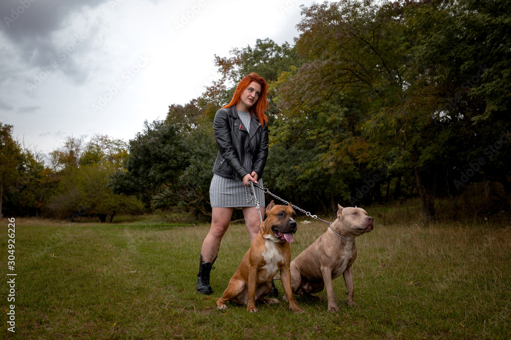woman with two beautiful American Staffordshire pitbulls
