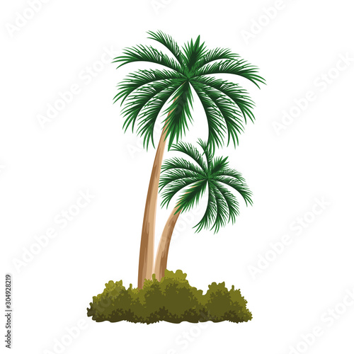 palms and bushes icon  flat design