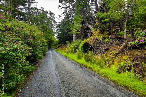 Beautiful scenic landscape of amazing Scotland nature and mountain trail road.