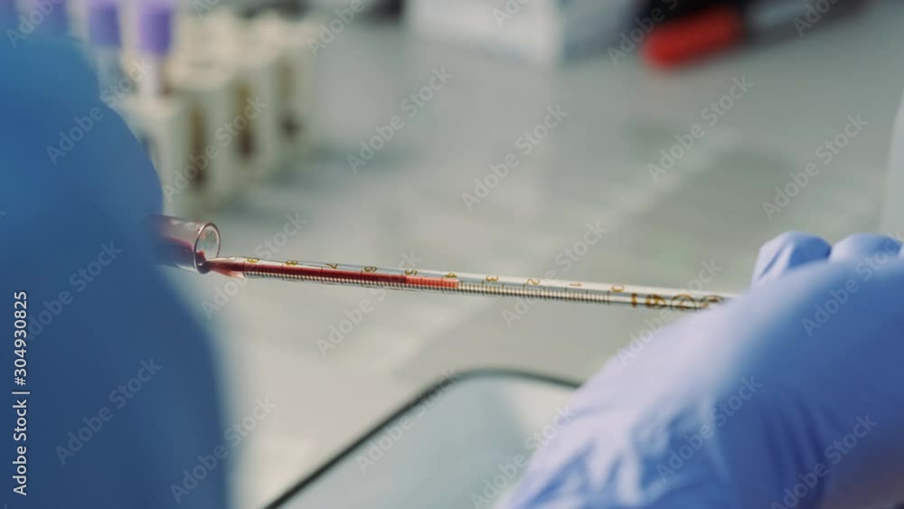 Scientist Works In The Laboratory. Scientist Works In The Laboratory.