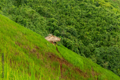 Aerial photograph of rice fields and mountains photo