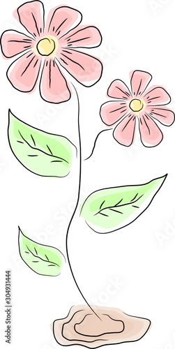 set of  pink vector flowers photo