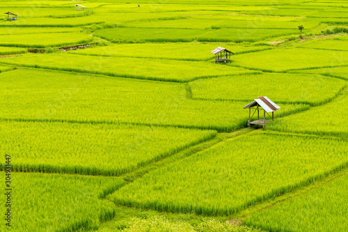Aerial photograph of green rice terraces in Nan Province, Thailand photo