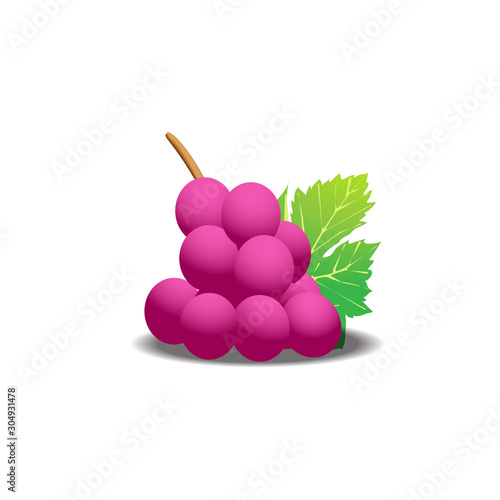 Reaslistic Bunch of Grapes in  Vector Illustration photo