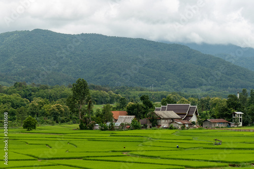 Aerial photograph of rice fields and mountains photo