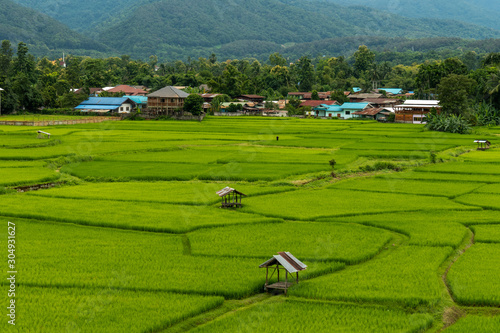 Aerial photograph of rice fields and mountains photo