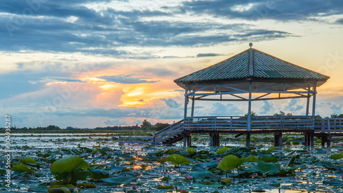 Evening time or sunset at the Pavilion on lake or pond or swamp of Bueng See Fai, Phichit, Thailand. photo