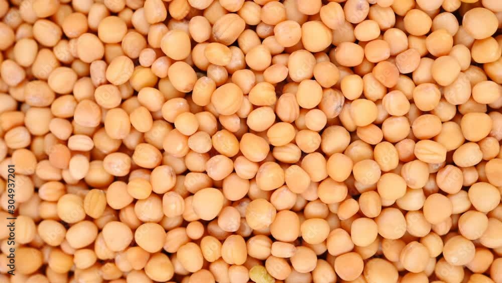 top view herb medicine BaiJieZi or Semen Brassicae or White Mustard Seed rotate and pause top view herb medicine BaiJieZi or Semen Brassicae or White Mustard Seed rotate and pause