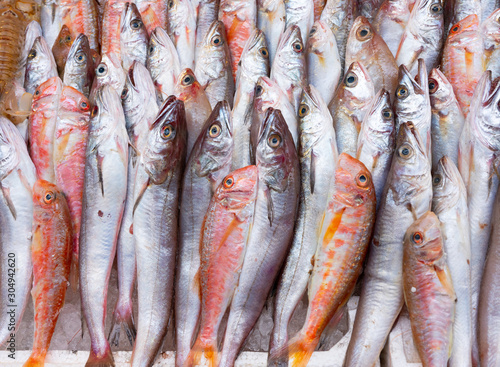 Fish at seamarket photo