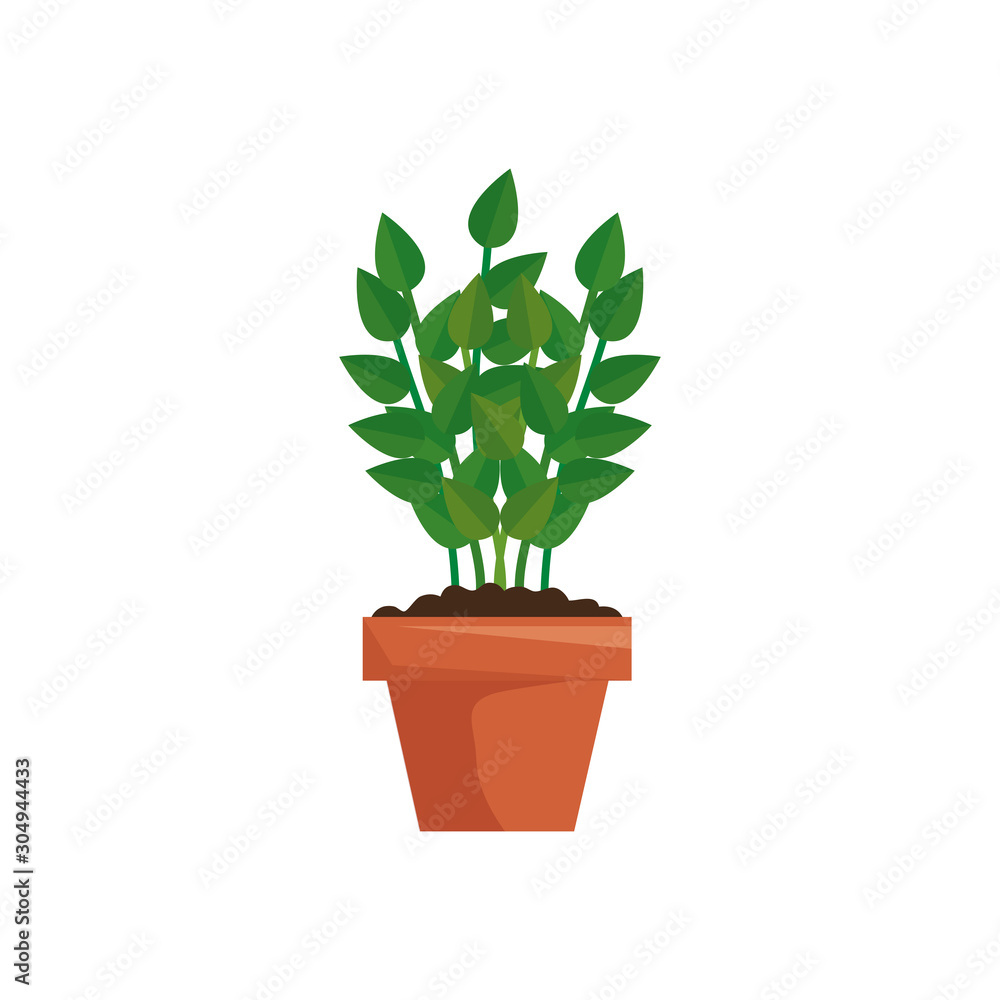 plant in house pot isolated icon vector illustration design plant in house pot isolated icon vector illustration design