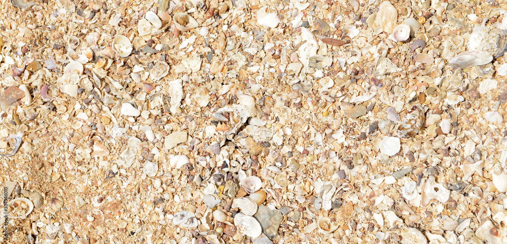Sand texture on the beach Sand texture on the beach