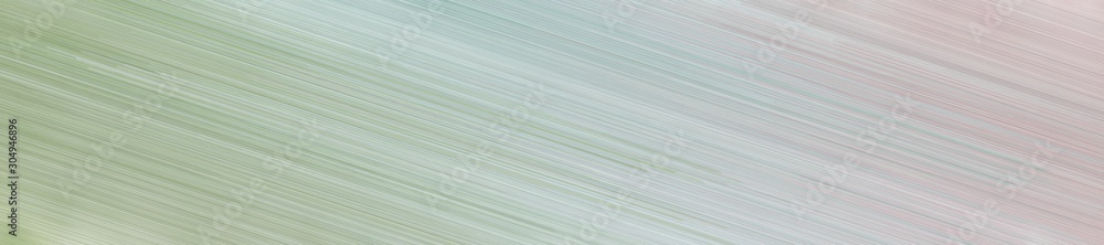 Fototapeta premium wide banner background with diagonal line design and ash gray, light gray and gray gray colors and space for text or image