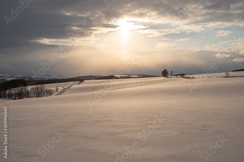北海道の雪原を照らす夕陽の風景