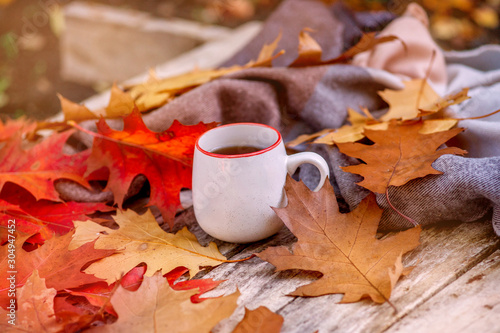 Autumn Background with tea cup, colorful leaves