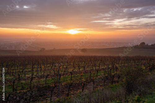 sonnenaufgang und morgenlicht   ber den weinbergen in der pfalz