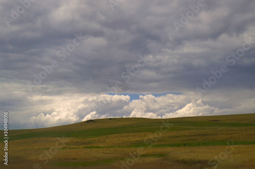 Summer in the countryside