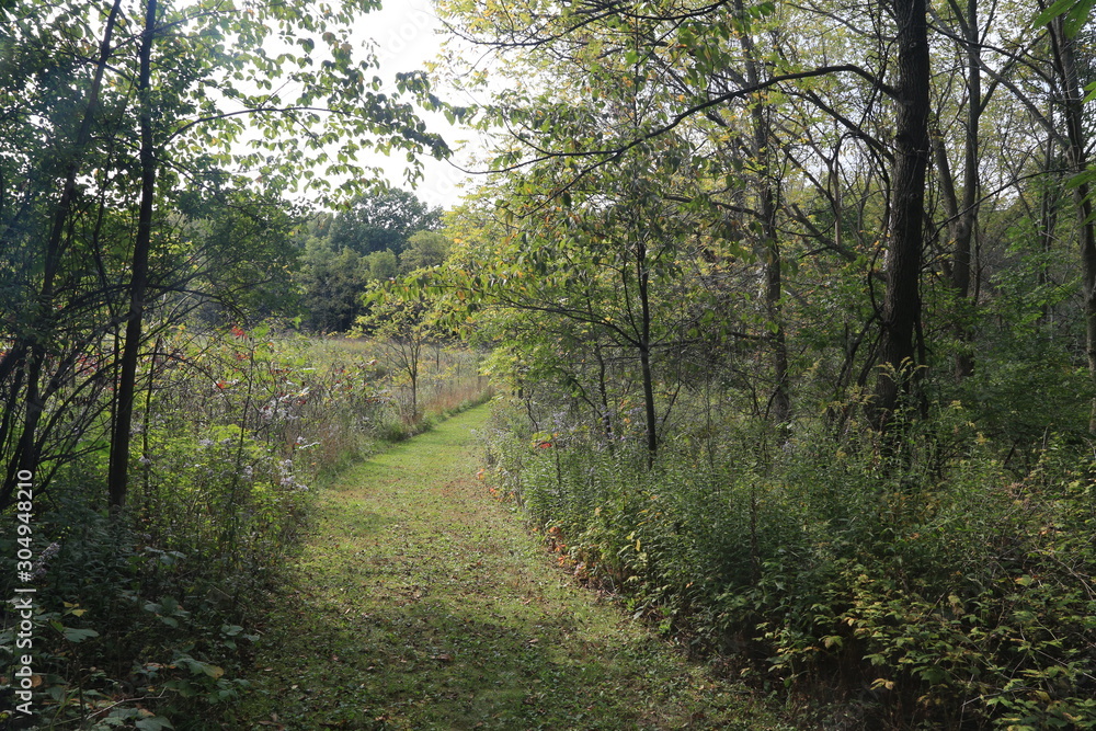 Fototapeta premium Nature Hike