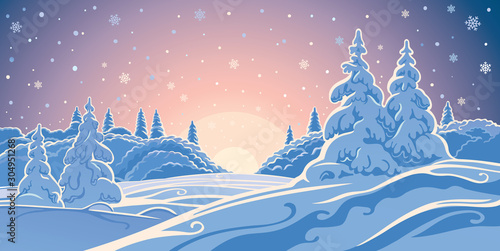 Winter landscape evening forest and snow-covered trees in the foreground.