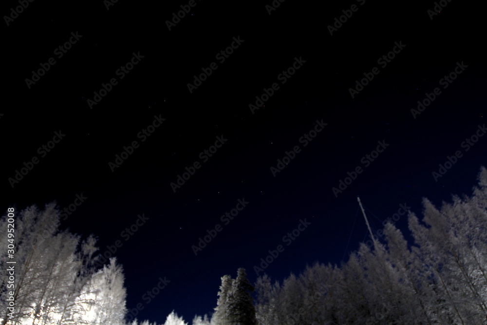 Fototapeta premium Night sky.
