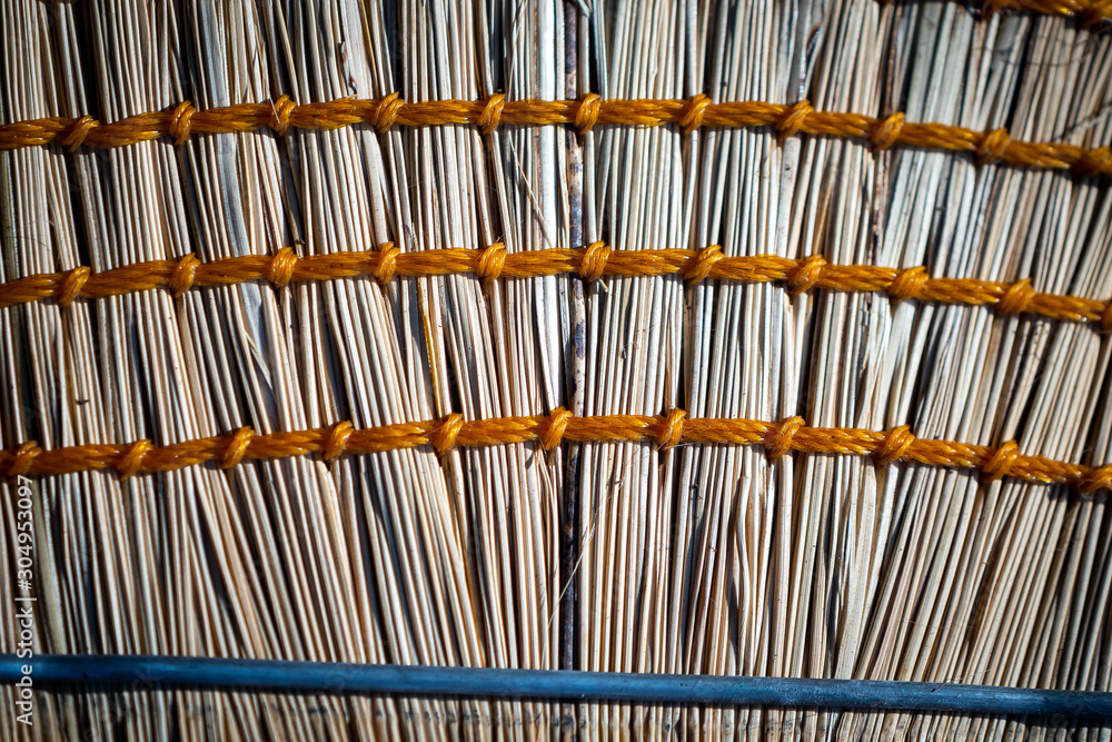 bamboo background bamboo background