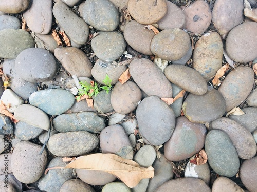 pebbles on the beach