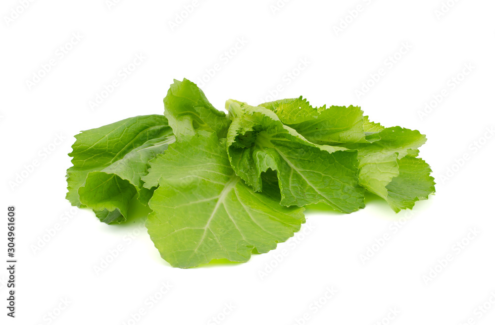 Green Lettuce leaf pile isolated on white background. Green Lettuce leaf pile isolated on white background.
