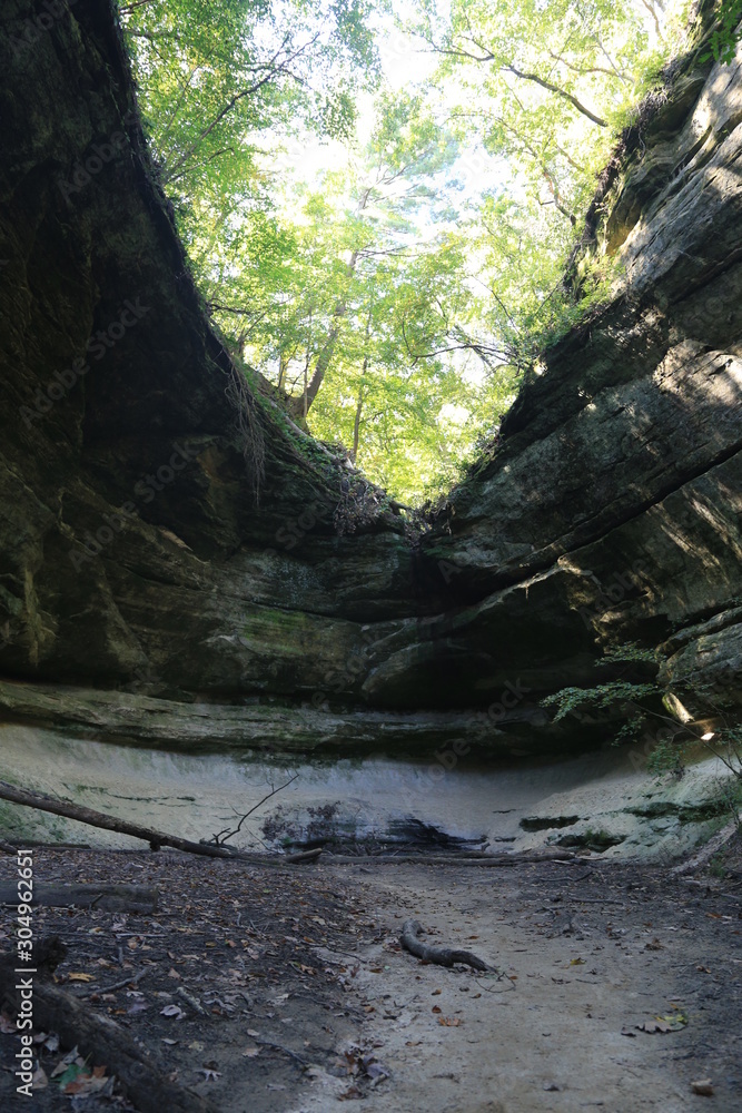 Canyon in Forest Canyon in Forest
