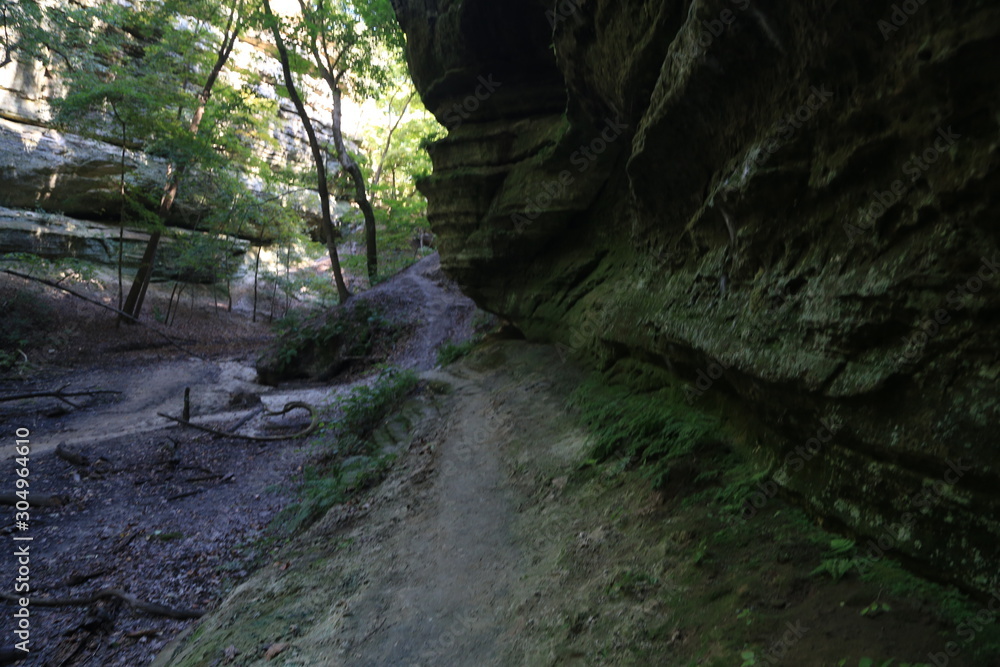 Nature hike with Canyons Nature hike with Canyons