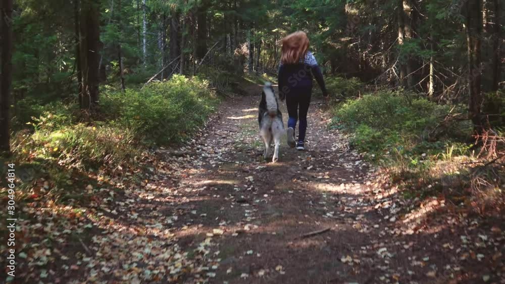 Girl walks in the forest with her dog. Traveling with a dog. Games of nature with the Husky. Girl walks in the forest with her dog. Traveling with a dog. Games of nature with the Husky.