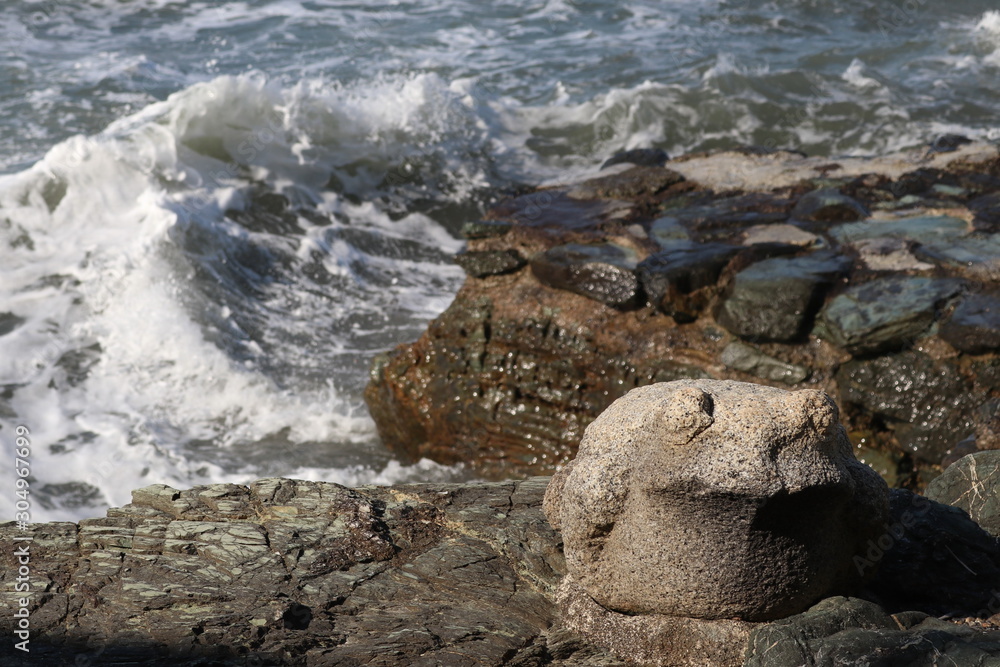 Naklejka premium 神社の蛙