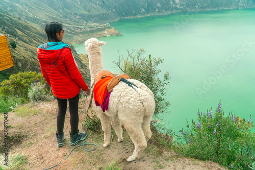 Woman with llama. Lake landscape background. Hiker with a cute alpaca on the edge of Quilotoa lake and volcano crater, with view of mountains, from viewpoint. Shot in Ecuador. Green and blue. Fun