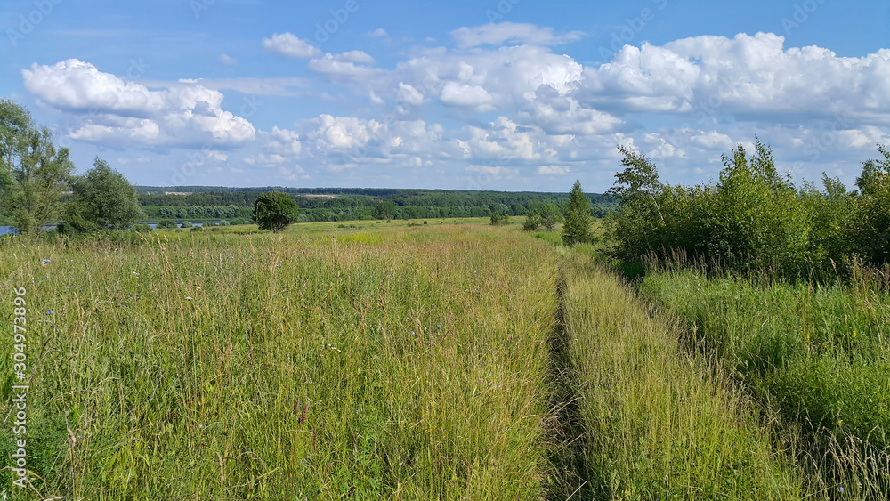 Obraz premium Beautiful summer landscape