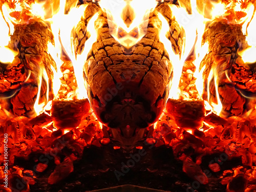 Fascinating primeval appeal of fire and symmetry: a fantastic animal, a fiery monster, a fire-breathing dragon. Direct and mirror photo of burning firewood in a firebox.