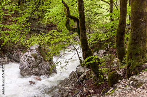 Vintagr gorge - Slovenia. photo