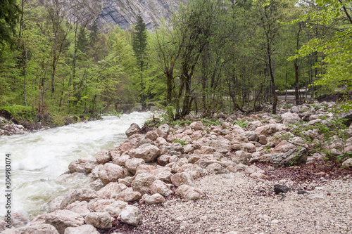 Vintagr gorge - Slovenia. photo