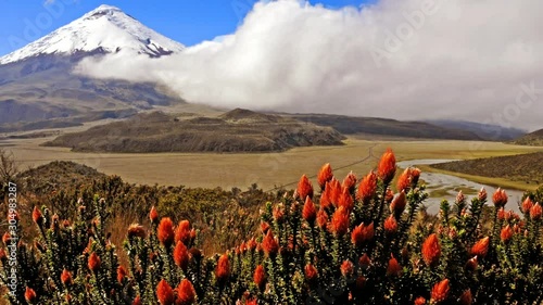 Cotopaxi volcano in Ecuador