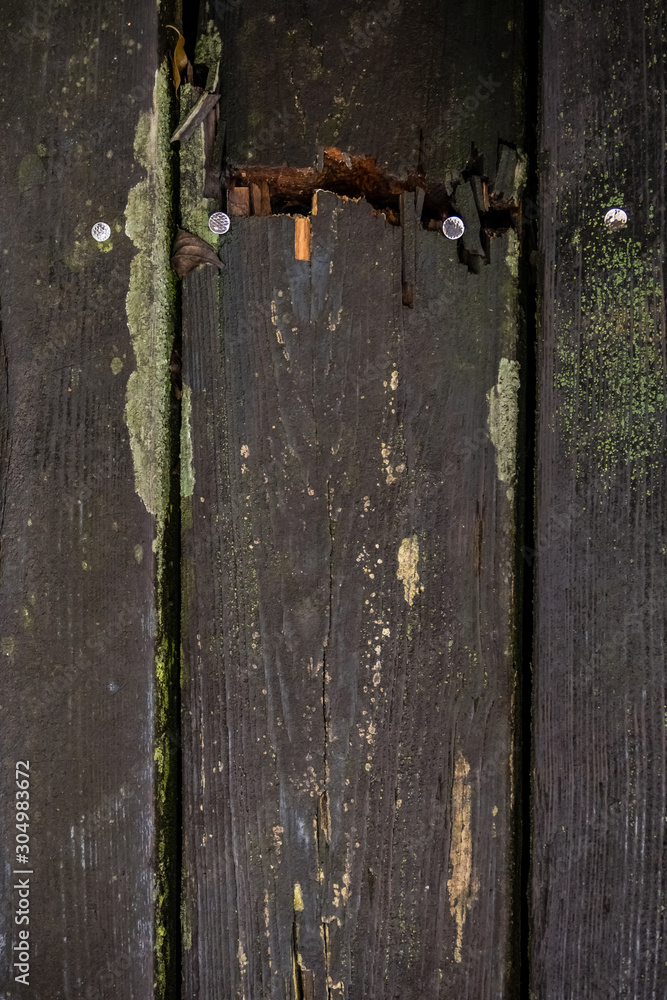 Cracked old wooden planks with moss